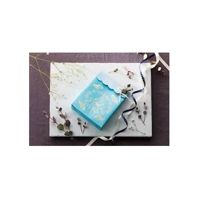 Kit de démarrage pour laminage avec des tôles Brother Scanncut - CAF...