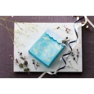 Starter kit per laminare con fogli metallici Brother Scanncut - CAF...