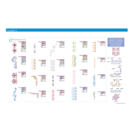 BLECUSB2 Ricami Brother Collezione 2 - Ispirazione orientale