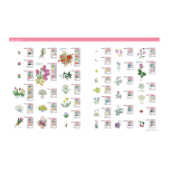 BLECUSB4 Ricami Brother Collection 4 - Printemps