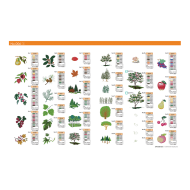 BLECUSB6 Ricami Brother Collezione 6 - Stagione autunnale