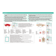BLECUSB15 Ricami Brother Collection 15 - Projets terminés avec votre...