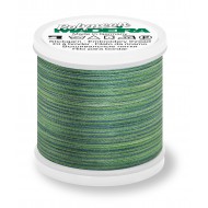 MADEIRA Polynéon couleur 1509 - 400 Mt.