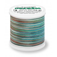 MADEIRA Polyneon colore 1608 - 200 Mt.