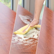 SPIRIT 61 Active Foam Cleaner