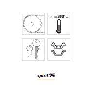 SPIRIT 25 Lubrifiant sec PTFE