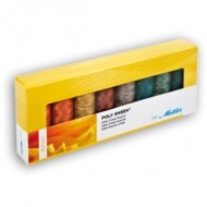 Lot de 8 Amann Mettler fils Poly Shenn Autumn