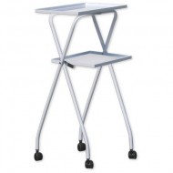 Steam generator trolley