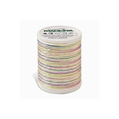 Seashell colore 1482